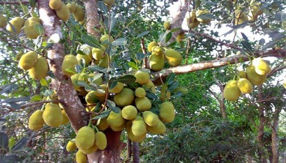 Voluptatem accusantium doloremque laudantium.