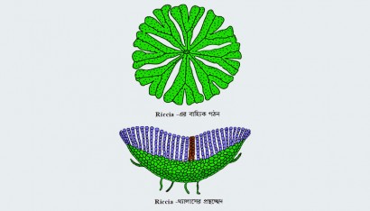 Voluptatem accusantium doloremque laudantium.