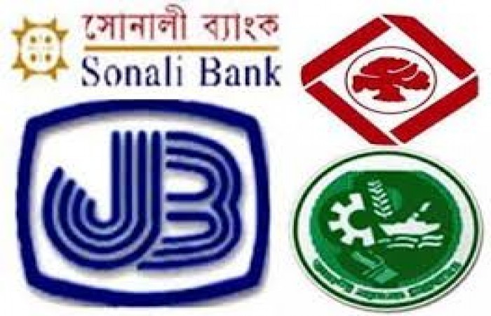 Large state-owned banks in problems, says Finance Minister