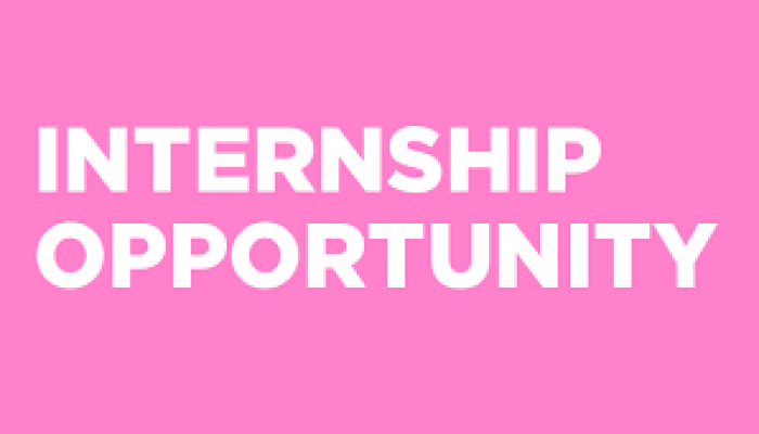 Power & Energy Ministry to offer 500 internships