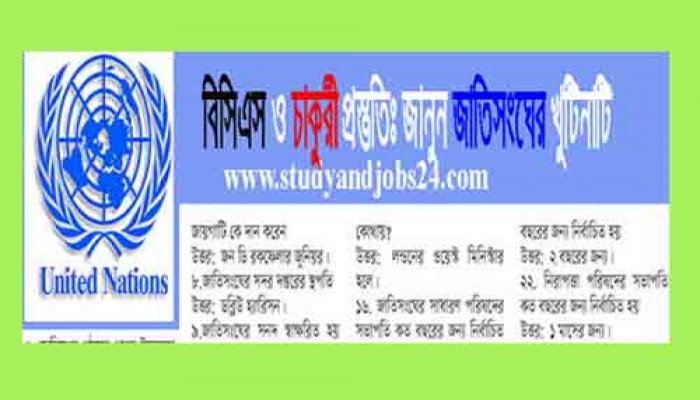 BCS and Job Preparation: United Nations at a Glance