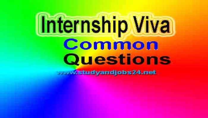 Top 10 Common Questions in Internship Viva 