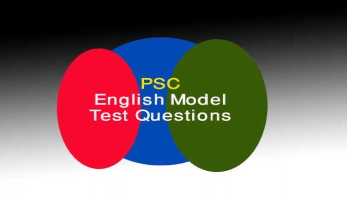 English Model Test for Primary School Certificate Exam