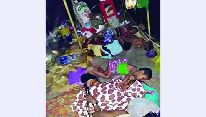 গাছে হেলান দিয়েও ঘুমায় রোহিঙ্গারা