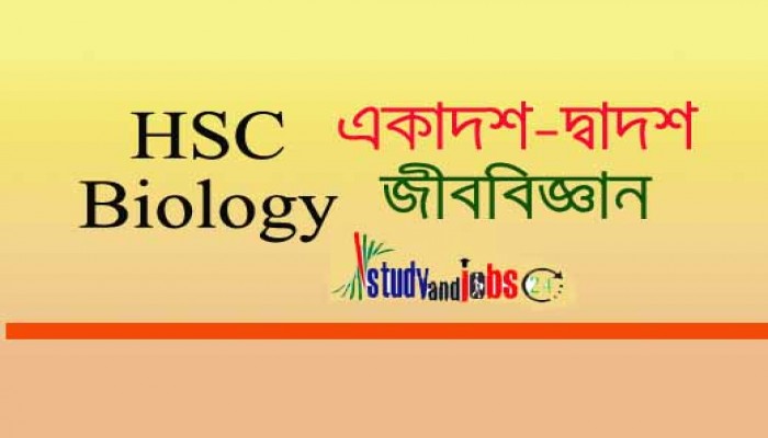 একাদশ ও দ্বাদশ শ্রেণির শিক্ষার্থীদের পড়াশোনাঃ জীববিজ্ঞান প্রথমপত্র