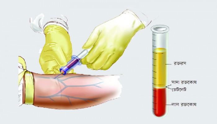 এসএসসি প্রস্তুতিঃ জীববিজ্ঞান