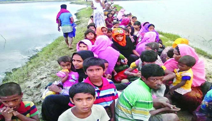 রোহিঙ্গা শরণার্থীদের নিতে চায় কানাডা