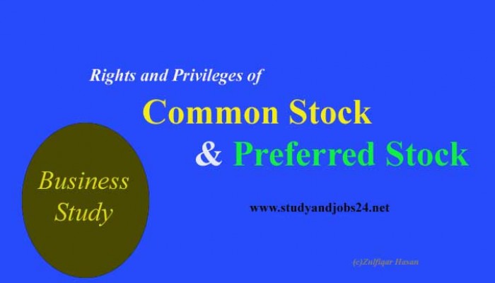 Rights and Privileges of Common Stock and Preferred Stock